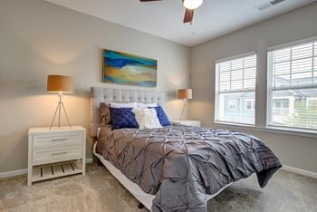 Plush carpeting in bedroom